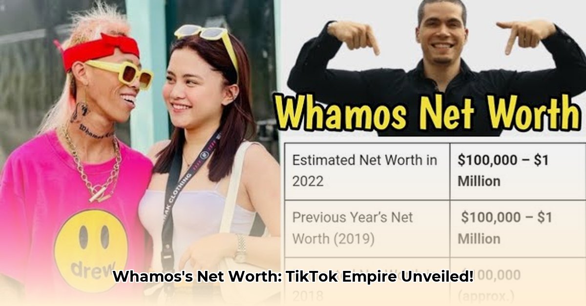 whamos-net-worth